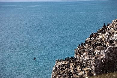 《上古卷轴5》“湮灭”Mod即将完成 需志愿者帮助