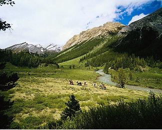 《逃离塔科夫》发布新每月“社区文摘” 将推出玩家反馈平台